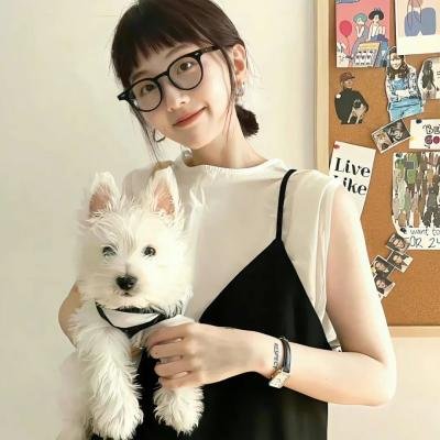 你好霸王龙